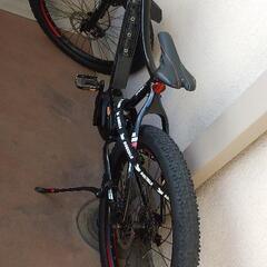 ベネリ eバイク Benelli e-bike ebike 電動アシスト自転車 e-mtb   