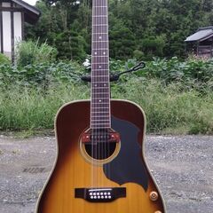 当時物 モラレス 12弦ギター エレアコ ハードケース付き