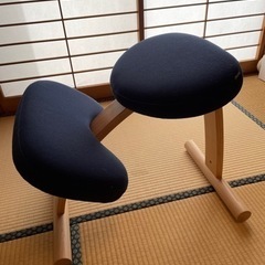 バランスチェア　イージー　ネイビー