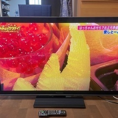 Panasonic パナソニック テレビ  TH-P50VT2 50型  2011年製