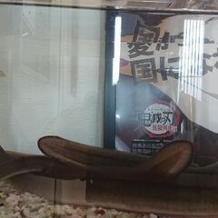 うなぎ 6匹 観賞用に