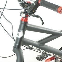 CANNONDALE 「キャノンデール」 HOOLIGAN3 2009年頃 ミニベロ