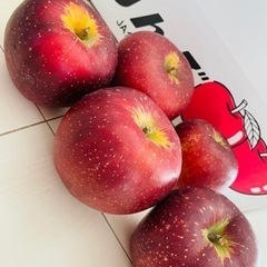 【17日まで！！】長野産　りんご　5個セット