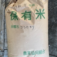 【新米】令和4年産の保有米　玄米30キロ　☆