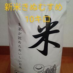 令和4年度　新米きぬむすめ10キロ　萩市紫福産