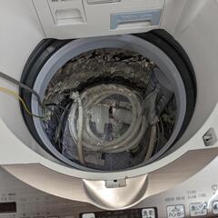 SHARPE 2022年製 洗濯機 8kg
