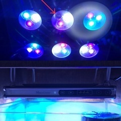 決まりました】オーバーフロー水槽セット システムLED キャノピー 