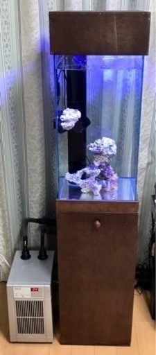 【決まりました】オーバーフロー水槽セット システムLED キャノピー クーラー 海水魚 サンゴ