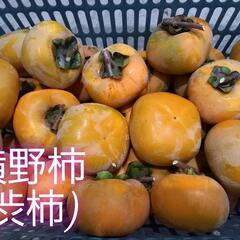 【期間限定】よこの渋柿(ドライアイスで渋抜き、約3キロ、種無し)