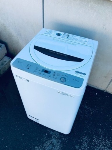 ET491番⭐️ SHARP電気洗濯機⭐️ 2019年製