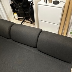 IKEA FLOTTEBO フロッテボー ／ソファ／ソファベッド