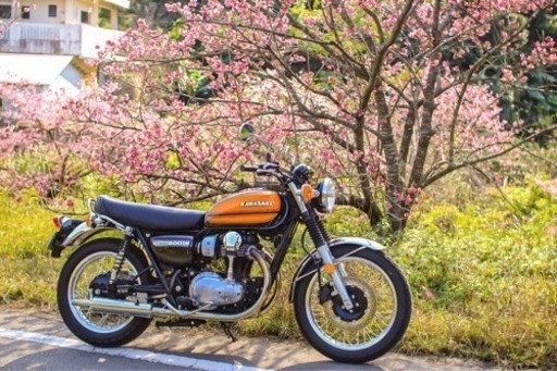 W800 W3風オーダーシート 2011-2016