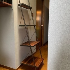受付終了】ラダーシェルフ／ ジャーナルスタンダードファーニチャー