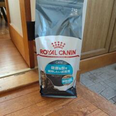 猫の餌　ロイヤルカナン　正規品　ユリナリーケア　2キロ2袋