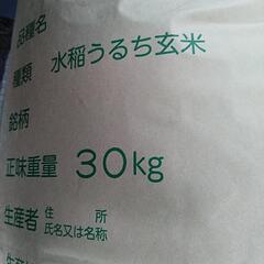 令和4年産新米、栃木県コシヒカリ玄米、30キロ