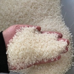 売り切れ‼️令和4年　山香米　ヒノヒカリ新米🌾玄米30キロ