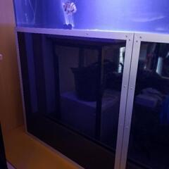アクリル水槽 1500.600.600 アングル台 上部フィルター 商談中 