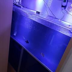 アクリル水槽 1500.600.600 アングル台 上部フィルター 商談中 