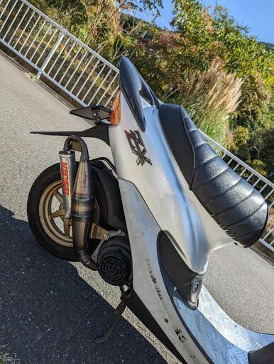 規制後 ライブディオZX 本物