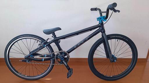 その他 GT BICYCLES BMX PRO SERIES JUNIOR