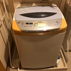 10月27日まで 洗濯機