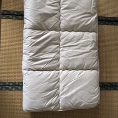 イワタのラクダの敷布団　シングル4キロ　送料込み