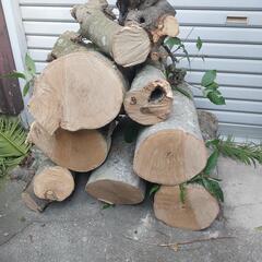 薪に　かしの木