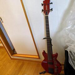 カラーレッド #LUNA SEA jモデル シリーズGrass Roots LUNA SEA