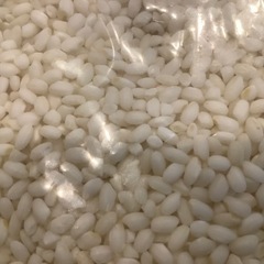 餅米ミヤタマモチ新米10キロ玄米　在庫少量