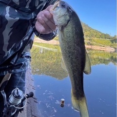 釣り行きましょう🎣