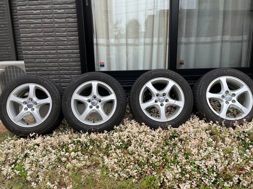 エインズレイ エンプレス ローレル 6枚セット 【公式通販】