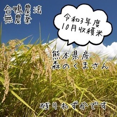 R3年度　熊本県産　無農薬　合鴨農法米　玄米5キロ