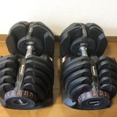 可変式ダンベル Motions 40kg × 2個セット