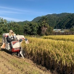 令和5年　新米　籾から精米