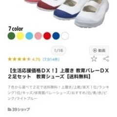 《値下げしました❗️教育シューズ》上履き　教育バレーDX   1...