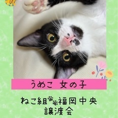 抱っこ大好き人も猫も大好きな女の子