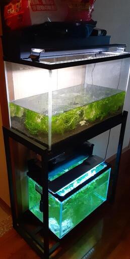 水槽60と45２台12000円