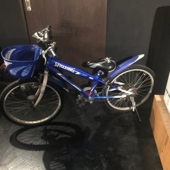 男の子自転車２２インチ