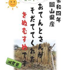 新米　天日干し米　きぬむすめ　玄米10kg　減農薬