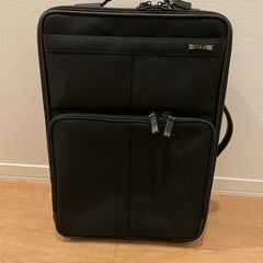 【ネット決済】Ace スーツケース