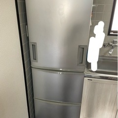 冷蔵庫ファミリー2009製