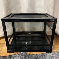 爬虫類ケージ2個即育成セット限定土日プレゼント