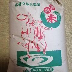 古米　令和三年産ヒノヒカリ　玄米30kg
