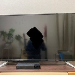 テレビ（値下げ！）