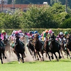 競馬仲間募集！