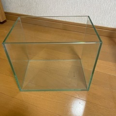 25cmガラス水槽