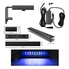 新品未使用品　ボルクスジャパン　グラッシーウイング２　マリン　60㎝ ボルクスジャパン グラッシーウィング2 マリン60