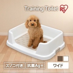 犬用　トイレトレー
