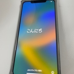 【高級バンパー付】iPhone11 Pro Max