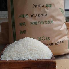 令和４年　新米ヒノヒカリ玄米、にこまる玄米（３０kg）